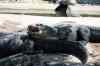 200908310161m.jpg - 2009:08:31 11:57:38
