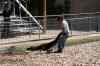 200908310181m.jpg - 2009:08:31 12:12:38