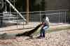 200908310182m.jpg - 2009:08:31 12:12:39