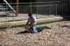 200908310203m.jpg - 2009:08:31 12:16:35