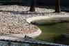 200908310207m.jpg - 2009:08:31 12:19:15