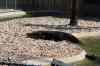 200908310212m.jpg - 2009:08:31 12:20:49