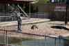 200908310215m.jpg - 2009:08:31 12:21:40