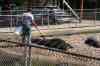 200908310223m.jpg - 2009:08:31 12:23:00