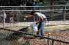 200908310227m.jpg - 2009:08:31 12:23:38