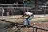 200908310228m.jpg - 2009:08:31 12:23:41