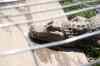 200908310235m.jpg - 2009:08:31 12:27:02
