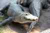 200908310242m.jpg - 2009:08:31 12:28:05