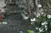 200908310270m.jpg - 2009:08:31 12:58:37