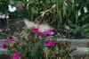 200908310272m.jpg - 2009:08:31 12:58:40