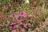 200908310273m.jpg - 2009:08:31 12:59:34