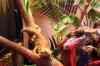 200908310281m.jpg - 2009:08:31 13:02:47