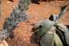 200908310283m.jpg - 2009:08:31 13:04:14