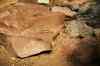 200908310287m.jpg - 2009:08:31 13:04:31