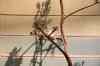 200908310290m.jpg - 2009:08:31 13:04:43