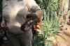 200908310291m.jpg - 2009:08:31 13:05:11