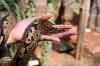 200908310295m.jpg - 2009:08:31 13:05:50