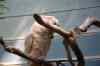 200908310296m.jpg - 2009:08:31 13:06:11