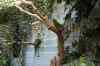 200908310306m.jpg - 2009:08:31 13:10:13