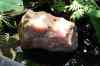 200908310309m.jpg - 2009:08:31 13:12:34