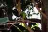 200908310314m.jpg - 2009:08:31 13:14:40