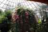 200908310331m.jpg - 2009:08:31 13:33:13