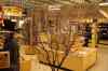 200908310335m.jpg - 2009:08:31 13:54:11