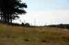 200908310340m.jpg - 2009:08:31 14:13:35