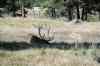 200908310343m.jpg - 2009:08:31 14:14:22