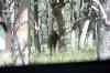 200908310348m.jpg - 2009:08:31 14:15:43