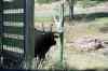 200908310352m.jpg - 2009:08:31 14:16:54