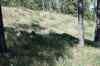 200908310357m.jpg - 2009:08:31 14:19:17