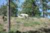200908310364m.jpg - 2009:08:31 14:19:49