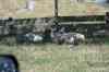 200908310369m.jpg - 2009:08:31 14:22:32