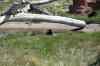 200908310378m.jpg - 2009:08:31 14:29:19