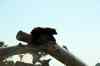 200908310390m.jpg - 2009:08:31 14:31:57