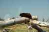 200908310393m.jpg - 2009:08:31 14:32:59
