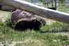 200908310394m.jpg - 2009:08:31 14:34:26