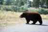 200908310404m.jpg - 2009:08:31 14:35:49