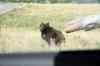 200908310409m.jpg - 2009:08:31 14:36:42