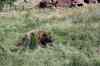 200908310420m.jpg - 2009:08:31 14:38:47