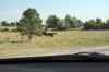 200908310422m.jpg - 2009:08:31 14:43:06