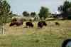 200908310427m.jpg - 2009:08:31 14:44:03