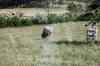 200908310428m.jpg - 2009:08:31 14:44:09