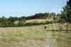 200908310429m.jpg - 2009:08:31 14:44:19