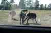 200908310433m.jpg - 2009:08:31 14:45:34
