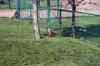 200908310436m.jpg - 2009:08:31 14:51:12