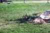 200908310440m.jpg - 2009:08:31 14:52:23