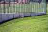 200908310442m.jpg - 2009:08:31 14:52:49