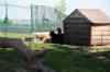 200908310463m.jpg - 2009:08:31 14:58:09